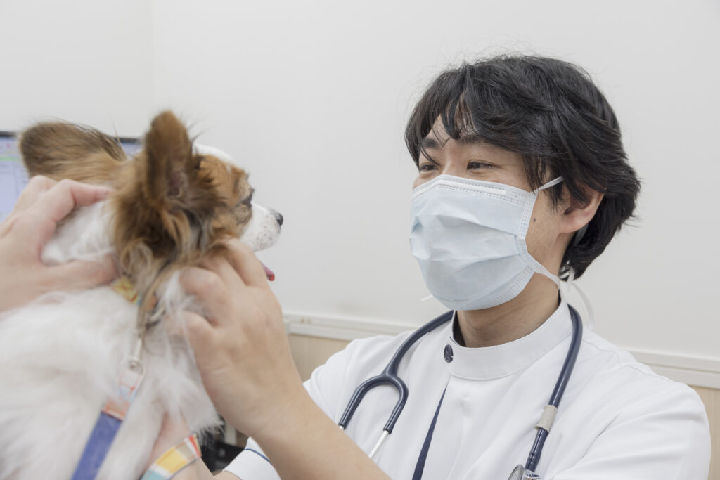 はじめに