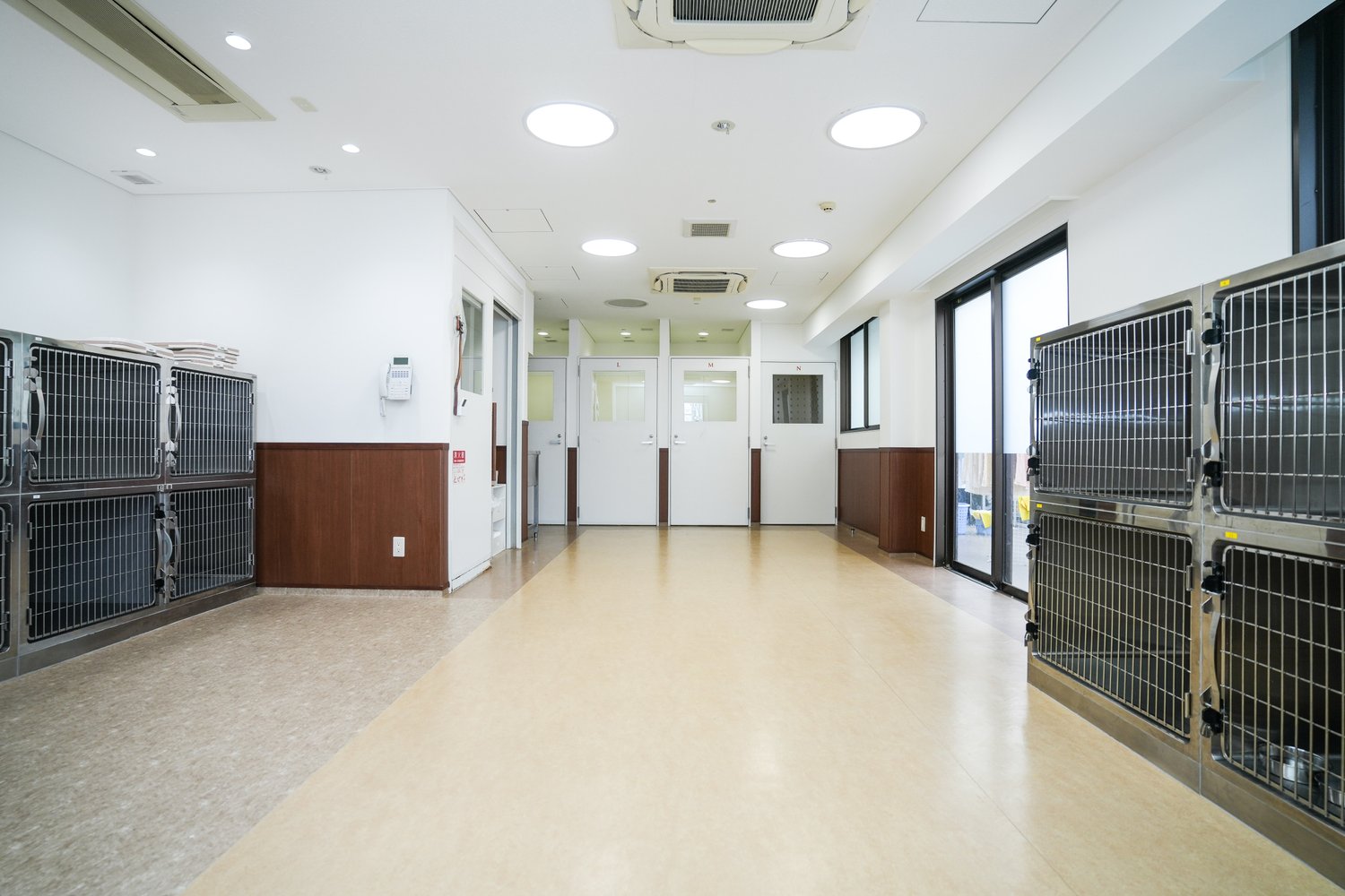 室内運動場