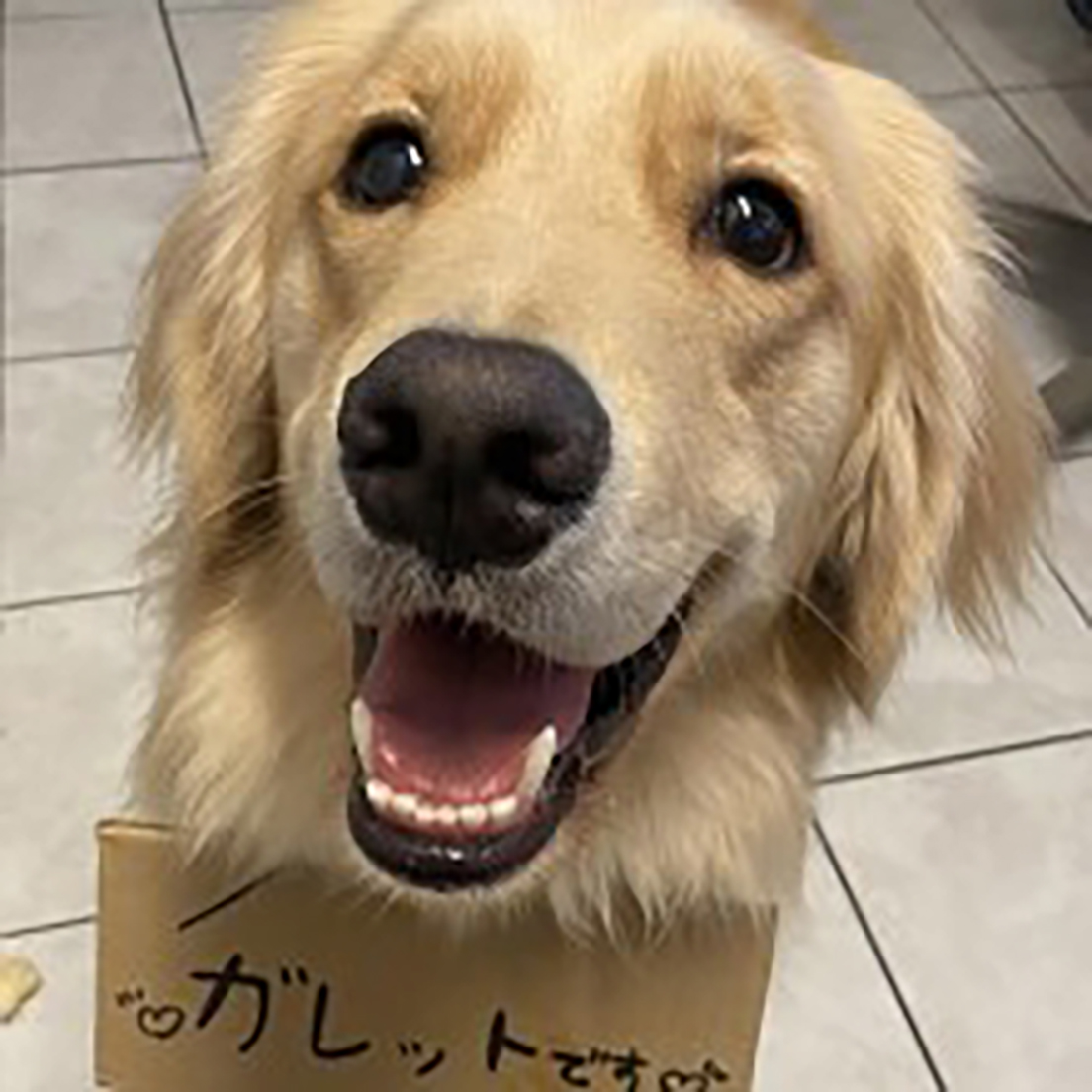スタッフの画像