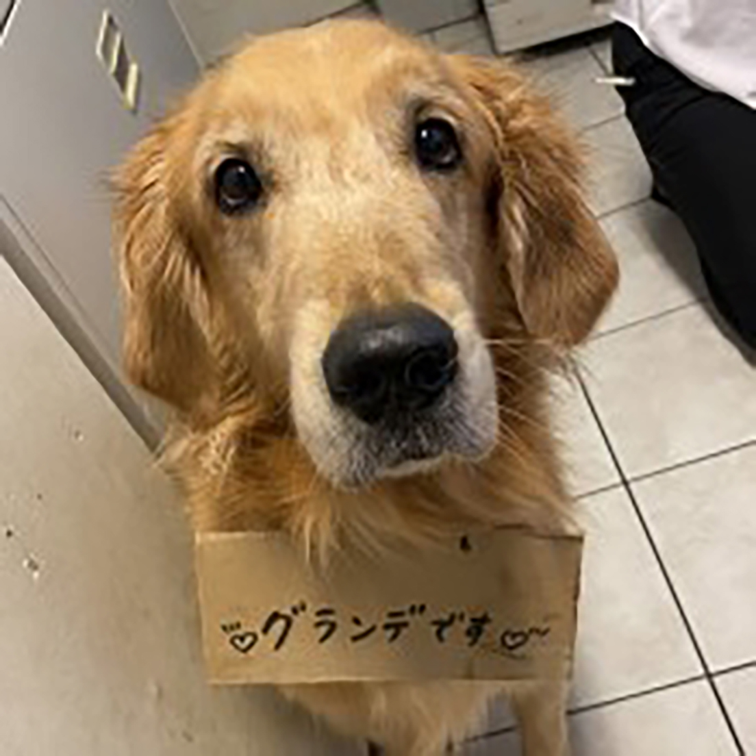 スタッフの画像